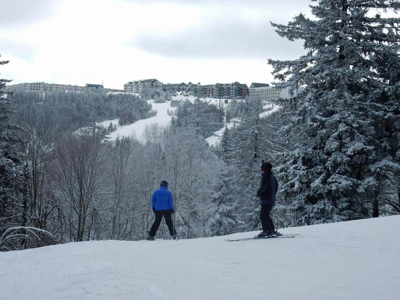 Loggers Run #8 Snowshoe Exterior foto